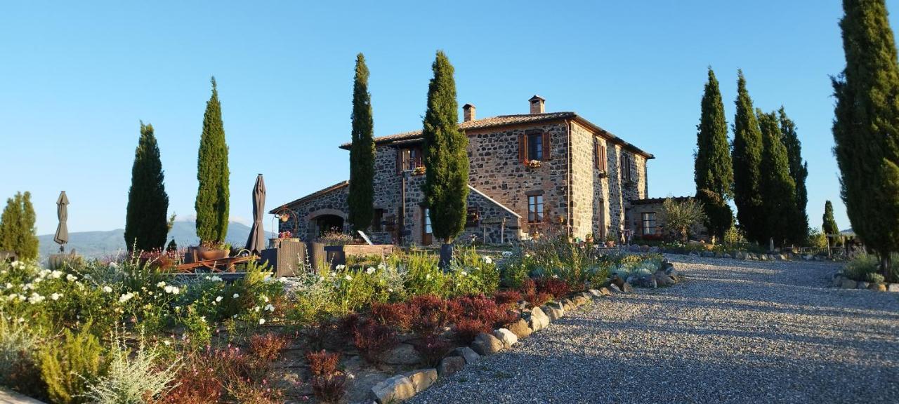 Casa Al Maestro B&B 라디코파니 주 외부 사진