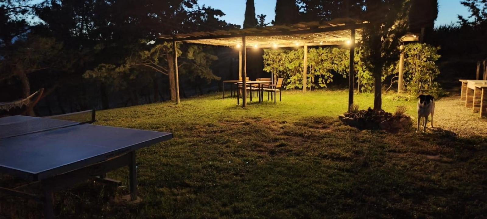 Casa Al Maestro B&B 라디코파니 주 외부 사진