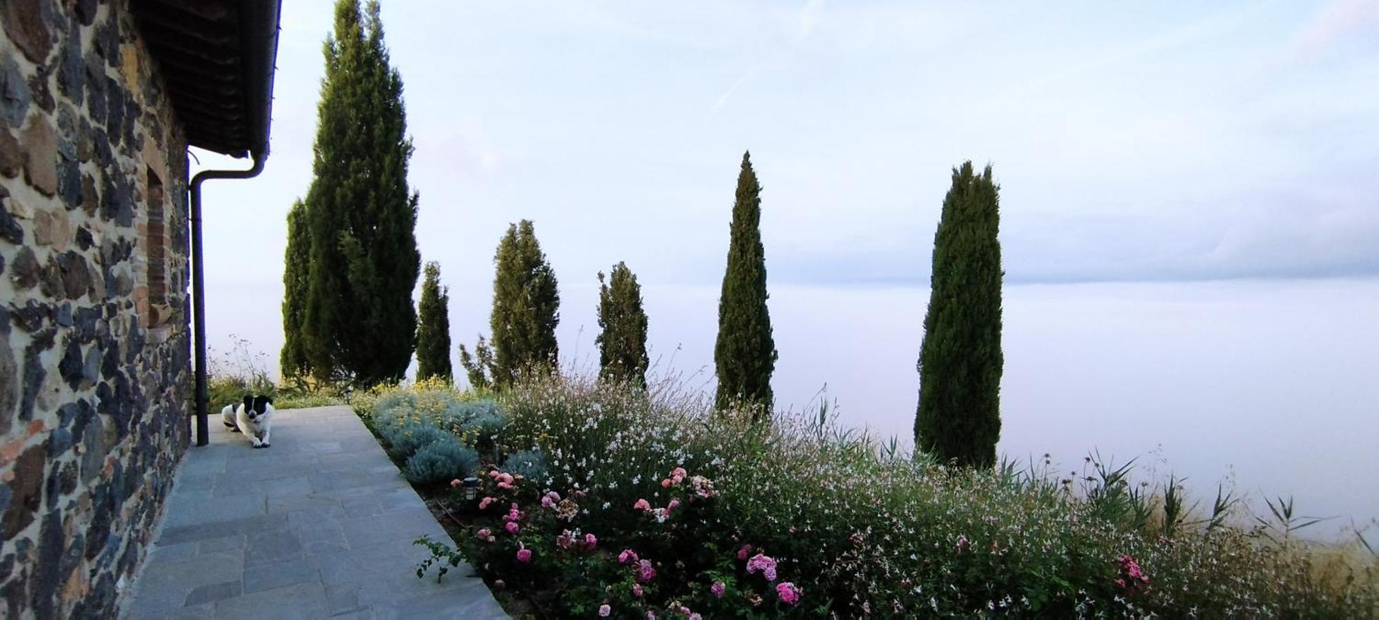 Casa Al Maestro B&B 라디코파니 주 외부 사진